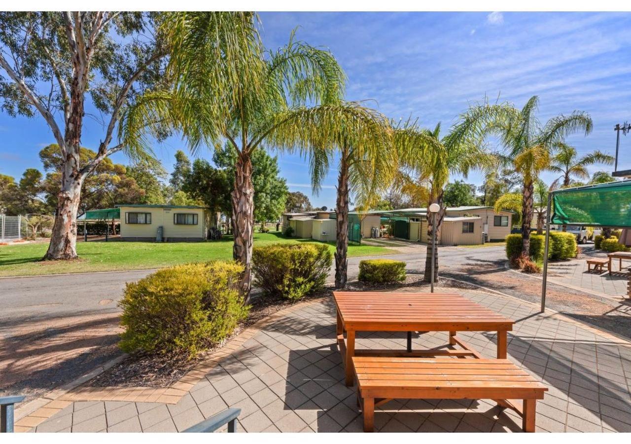 Discovery Parks - Lake Bonney Barmera Exterior foto